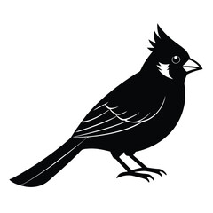 Fototapeta premium Cardinal vector shilhouette single collection