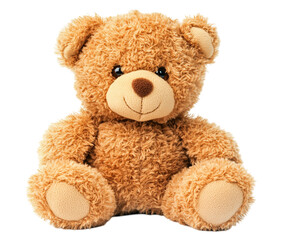 Obraz premium Cute teddy bear isolated on white background png transparent clipart.