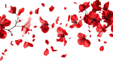 Graceful red flowers and petals flying in the air isolated on white background perfect for designs