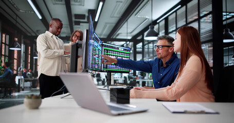 Financial Analyst Conducts Business Data Audit