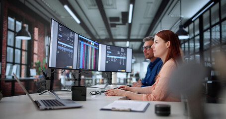 Professional Accountant Processing Electronic Invoices