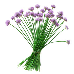 Fototapeta premium a vibrant bouquet of chives with delicate purple flowers atop long green stems. arranged in a natural. rustic style beauty of edible plants. showcasing their aesthetic appeal and potential use in cul