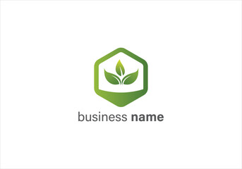 green eco leaf logo design for business branding