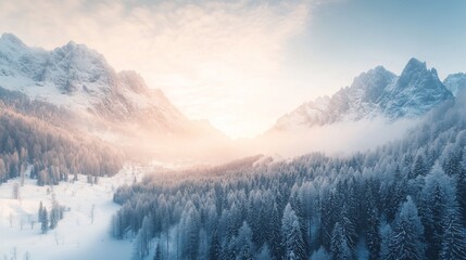 Sunrise over snowy Alps, winter forest, aerial view, postcard