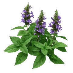 cluster of vibrant purple flowers surrounded by lush green leaves. showcasing a natural and botanical aesthetic this illustration emphasizes the beauty of plants and could be used for educational. dec