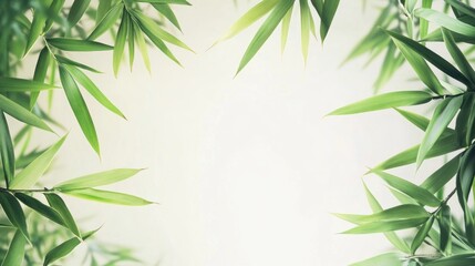 Obraz premium Fresh green bamboo leaves frame