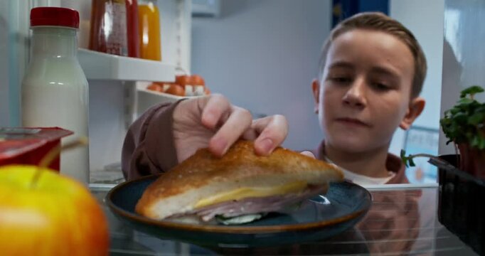 The boy opens the refrigerator door and takes sandwich. He takes a bite of the sandwich and puts it back on plate. View from the refrigerator