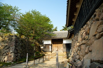 晴れた日の新緑がきれいな島根県松江市の国宝松江城
