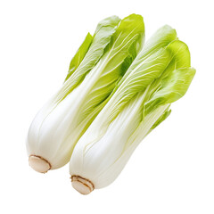 Broad leaved endive fresh and vibrant against a clean white backdrop showcasing its unique texture, Broad leaved endive isolated on white background