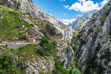 Mountain landscape in the Cares gorge in Spain, with its rocky cliffs and vegetation