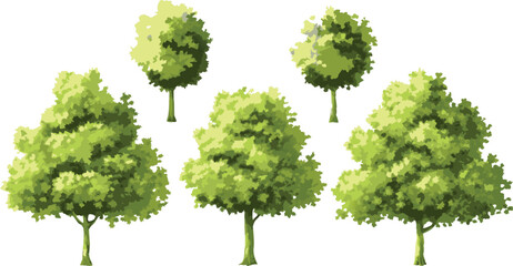 Fototapeta premium Lush Green Trees Vector Collection