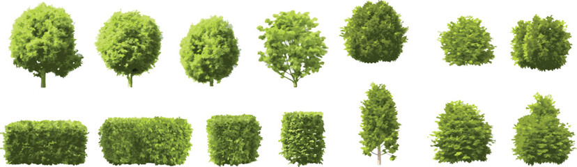 Green Trees and Shrubs Vector Collection