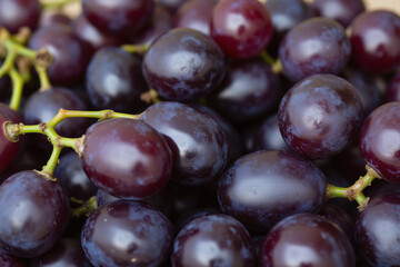 Fototapeta premium bunch of purple grapes sitting on top of each other