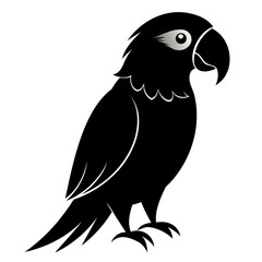 Black Vector silhouette of Macaw bird isolated on transparent background