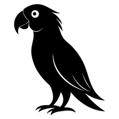 Black Vector silhouette of Macaw bird isolated on transparent background