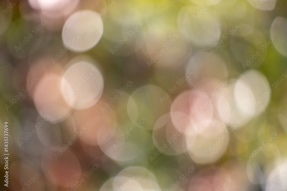 Wall mural the image is a blurry, abstract representation of a tree with many small circles