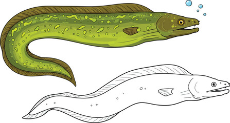 Green Eel in Watercolor: A striking illustration showcases a vibrant green eel swimming through the water. The artwork reveals intricate details, offering a fresh perspective on marine wildlife.