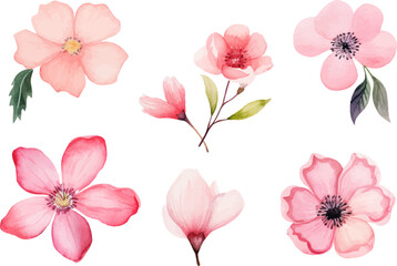 set of pink flowers