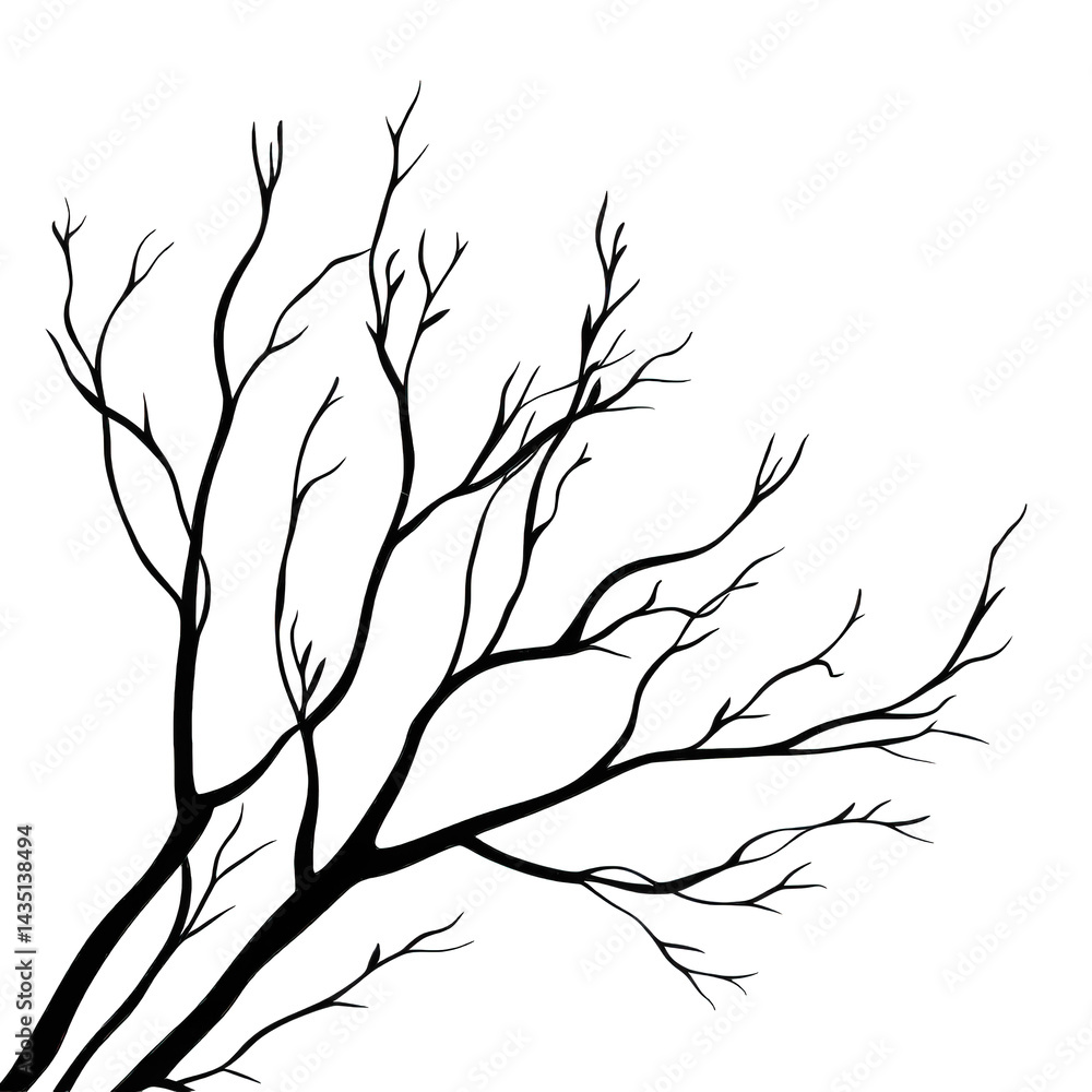 Poster minimalist illustration of a tree branch with numerous thin. intricate twigs extending outward again