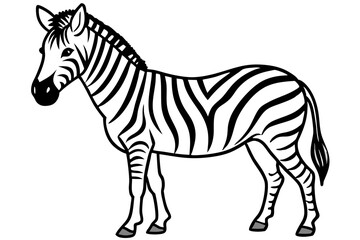 Wild Zebra Ink Lines