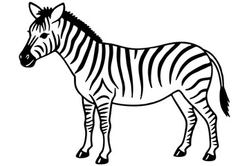Wild Zebra Ink Lines