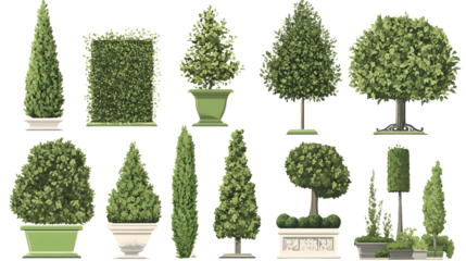 A collection of various decorative shrubs and trees in elegant pots, showcasing diverse shapes and lush greenery