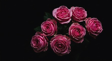 Obraz premium Velvet Roses: Nocturne in Pink AI Generated