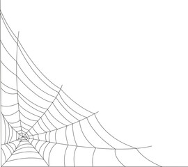 a spider's web