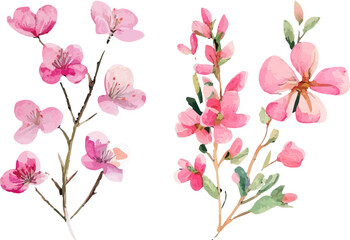 pink flowers background