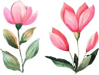 set of pink tulips