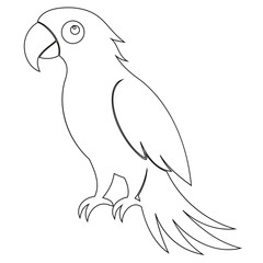 Black Vector outline or line art of Macaw bird isolated on transparent background