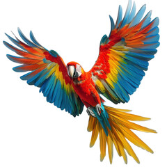 Fototapeta premium a vibrant macaw in flight. showcasing its striking red. blue. and yellow feathers. set against a plain white background the beauty of wildlife and the colorful plumage of the bird. capturing a moment