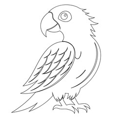 Parrot Bird icon silhouette vector outline isolated on transparent background