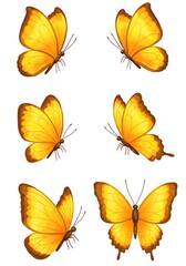 Obraz premium Golden Flutter: Six Views AI Generated