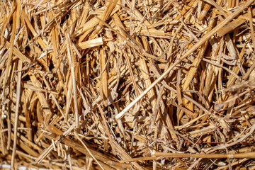 The straw lies on the ground, top view. Chaotically scattered stems of cut crops in the sun. Thatch grass on a sunny day.
