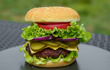 Pojedynczy burger, bułka z sezamem że świeża sałata, pomidorem, wolowiną