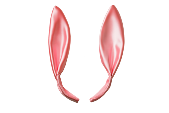 Pink Bunny Ears on Transparent Background, PNG