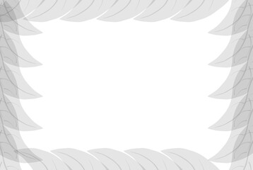 white frame on a white background