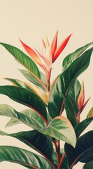 Vibrant Red and Orange Heliconia Flower with Lush Green Leaves