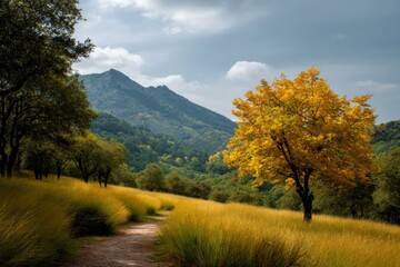 Naklejka premium Autumn Mountain Path with Golden Trees