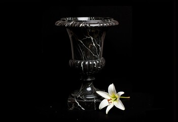 Elegant black marble vase with white lily on dark background  