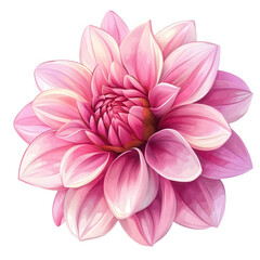 Fototapeta premium beautifully detailed illustration of a pink flower. showcasing its layered petals and intricate design the vibrant colors and soft gradients create a visually appealing aesthetic. perfect for decorati