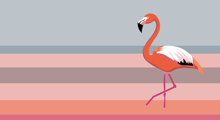 Fototapeta premium flamingo on the water