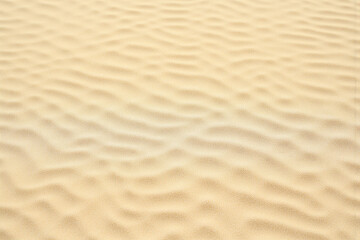 Fototapeta premium close up of a sandy beach with a lot of sand1