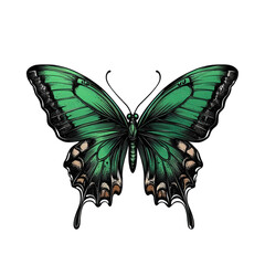 beautifully illustrated butterfly with vibrant green wings and intricate black detailing. showcasing its delicate structure and elegance the design emphasizes the butterfly's natural beauty and could