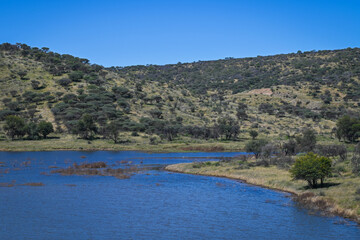 Le parc naturel Avis Dam en Namibie