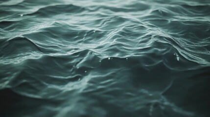 Fototapeta premium Close-up view of textured water surface.