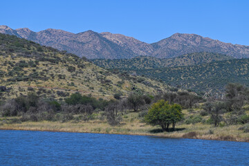 Le parc naturel Avis Dam en Namibie