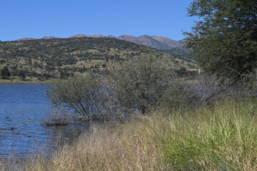 Le parc naturel Avis Dam en Namibie