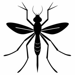 insect, dragonfly, fly, isolated, animal, bug, nature, macro, mosquito, cartoon, wing, white, closeup, vector, wings, flying, wasp, green, pest, illustration, summer, wildlife, insects, bee, black